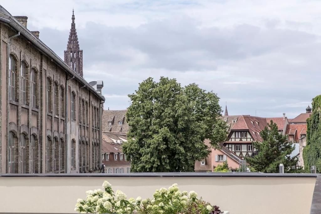 L'Academie - Magnifique 3 Chambres Krutenau Avec Parking Straatsburg Buitenkant foto